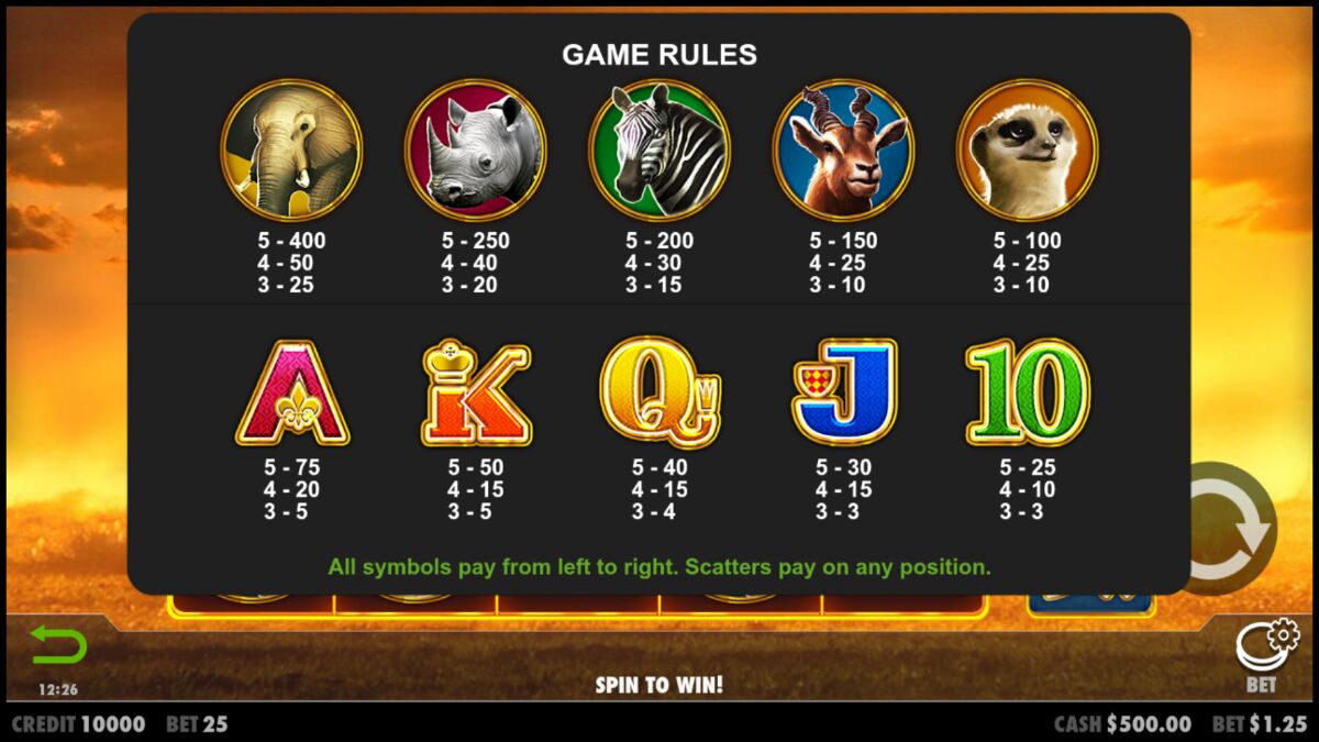 Hot Safari - screenshot with slot description 3